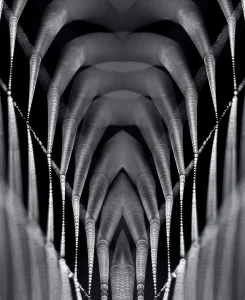 xMNLVa0Bsxr8dY1eIgNZTRoXi8bC5D-metaMjM0LTAzLTExODctMDAyODE4LmpwZw==-