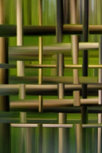 OAH6HTuT6uhULbSwSIsRTo14XLfZ5J-metaMjgwLTAzLTE0OTctMDAzMjA1LmpwZw==-