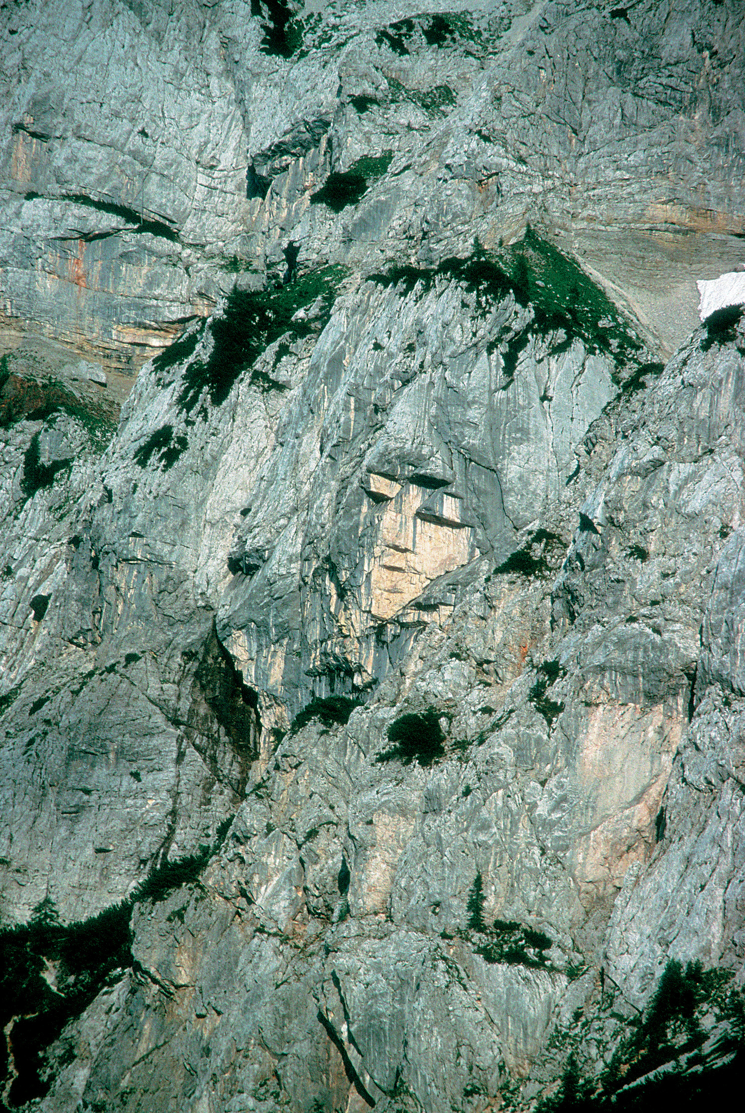 Naturarc