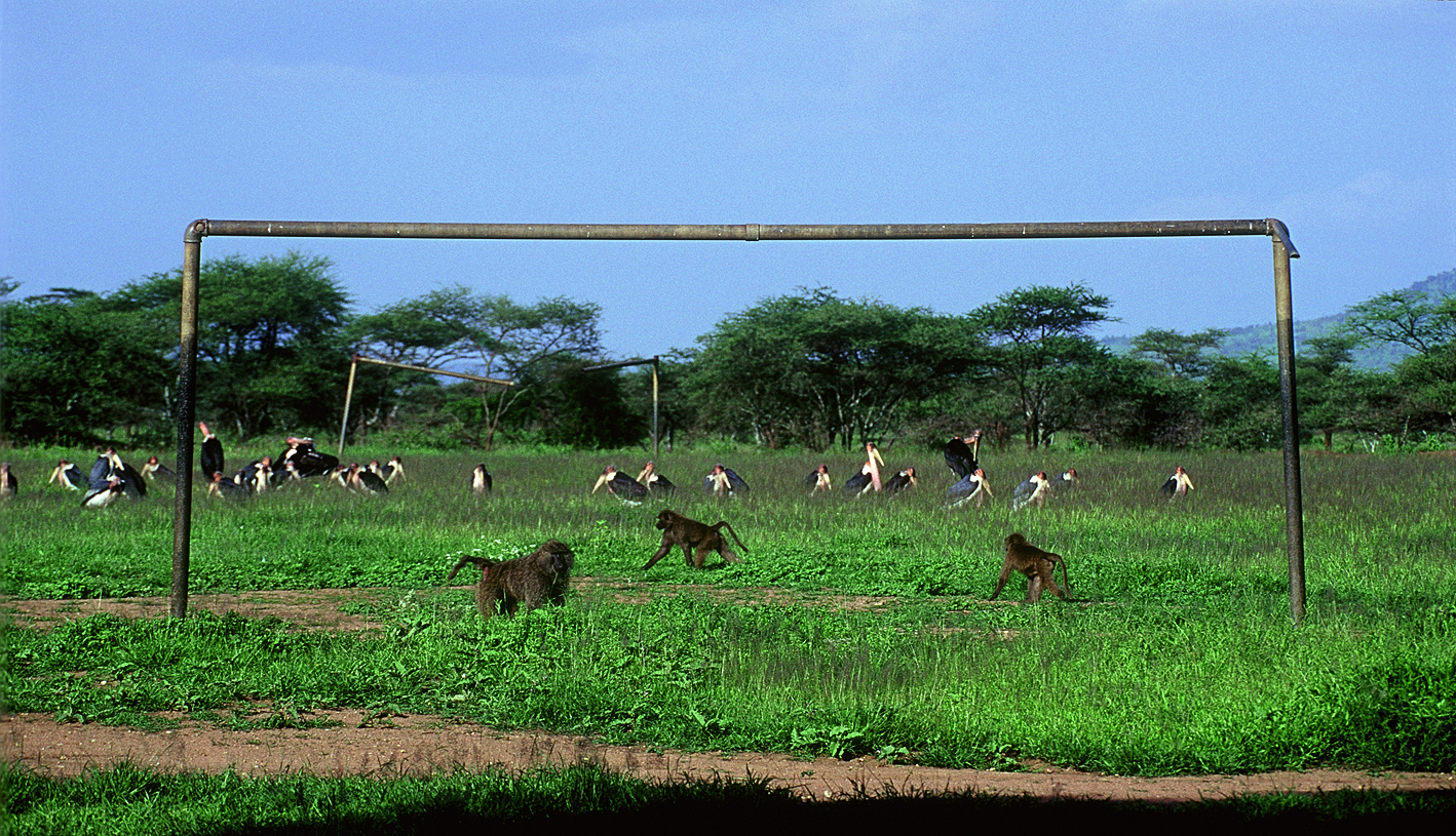 Afrikai futbal
