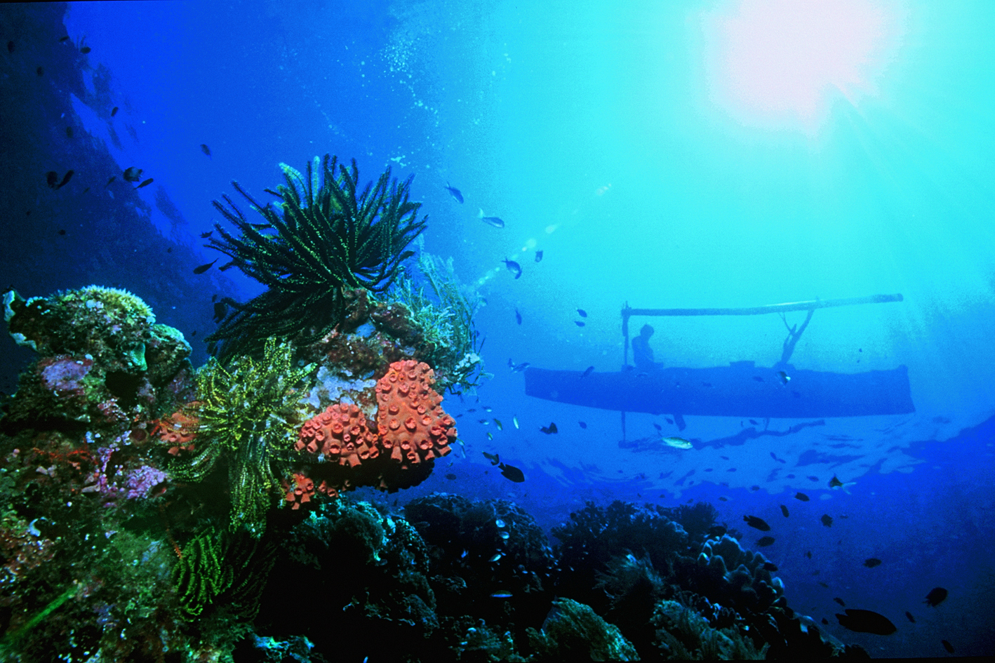 Bunaken 