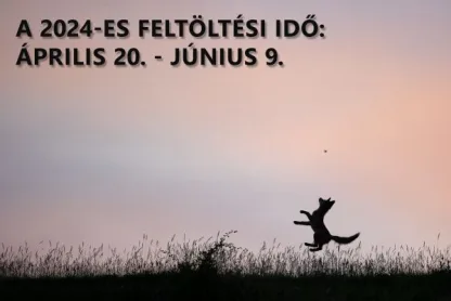 Elindult a 2024-es pályázati időszak!