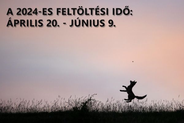 Elindult a 2024-es pályázati időszak!