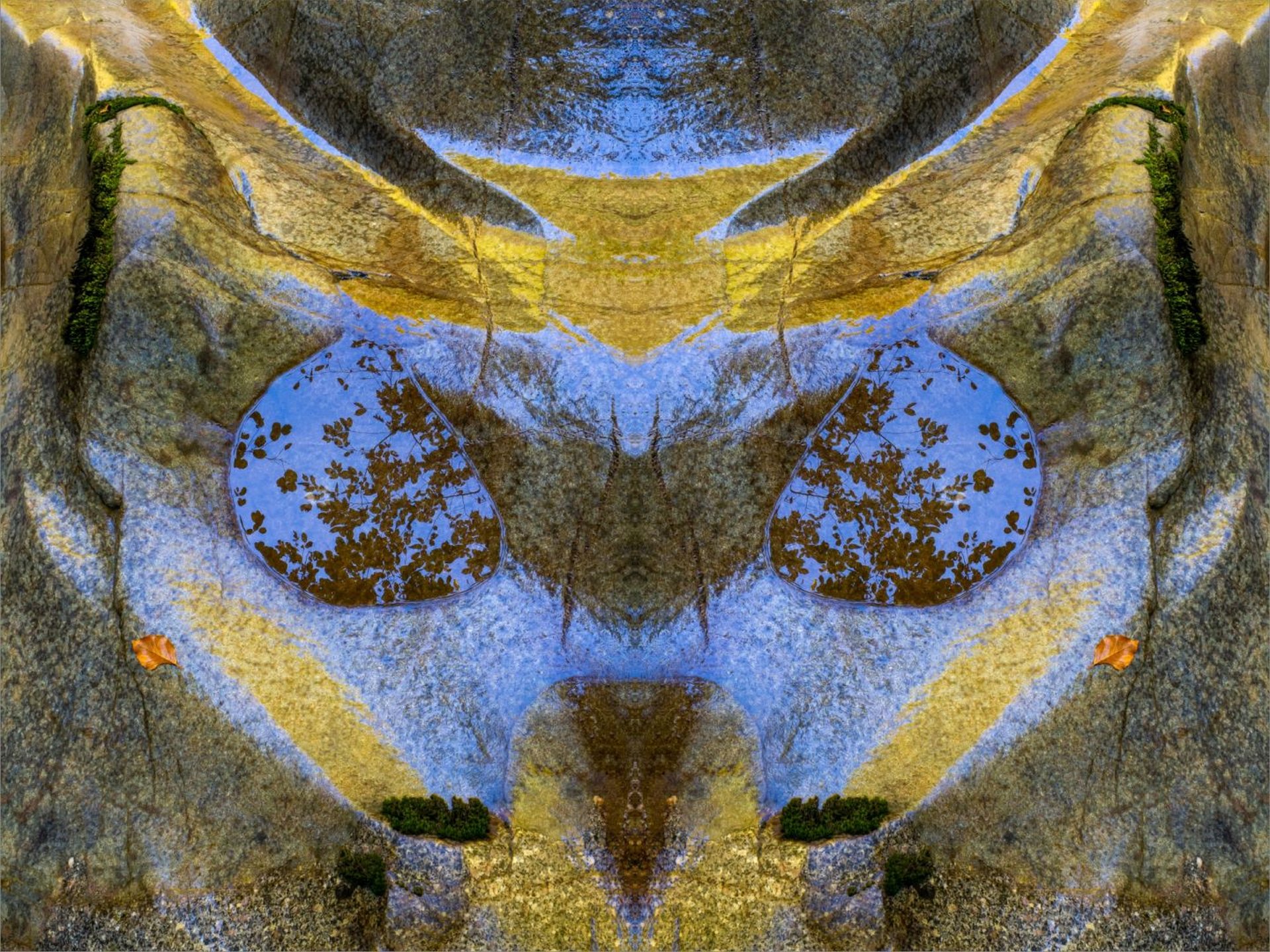 Pareidolia
