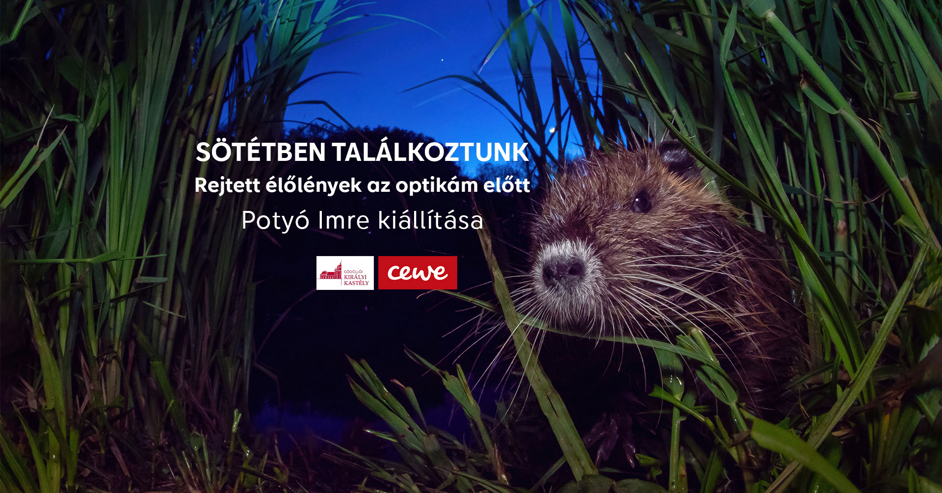 Sötétben találkoztunk – Potyó Imre fotókiállítása