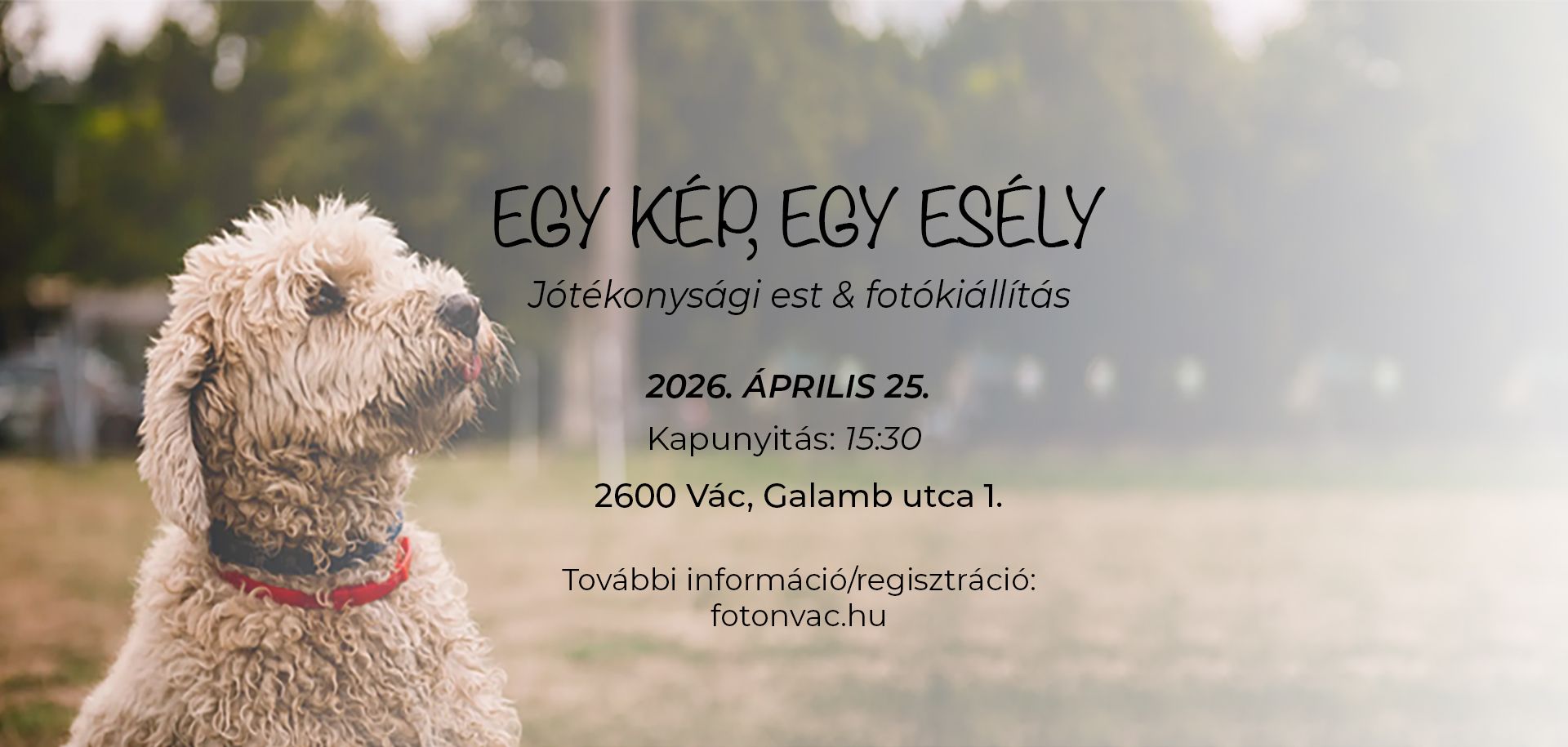 Egy kép, egy esély - jótékonysági est és fotókiállítás