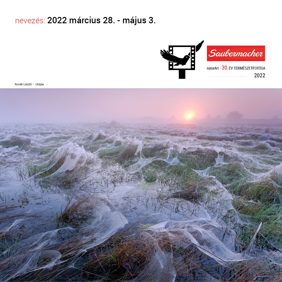 ÉTF2022 Pályázati feltöltés - május 3-ig lehet pályázni