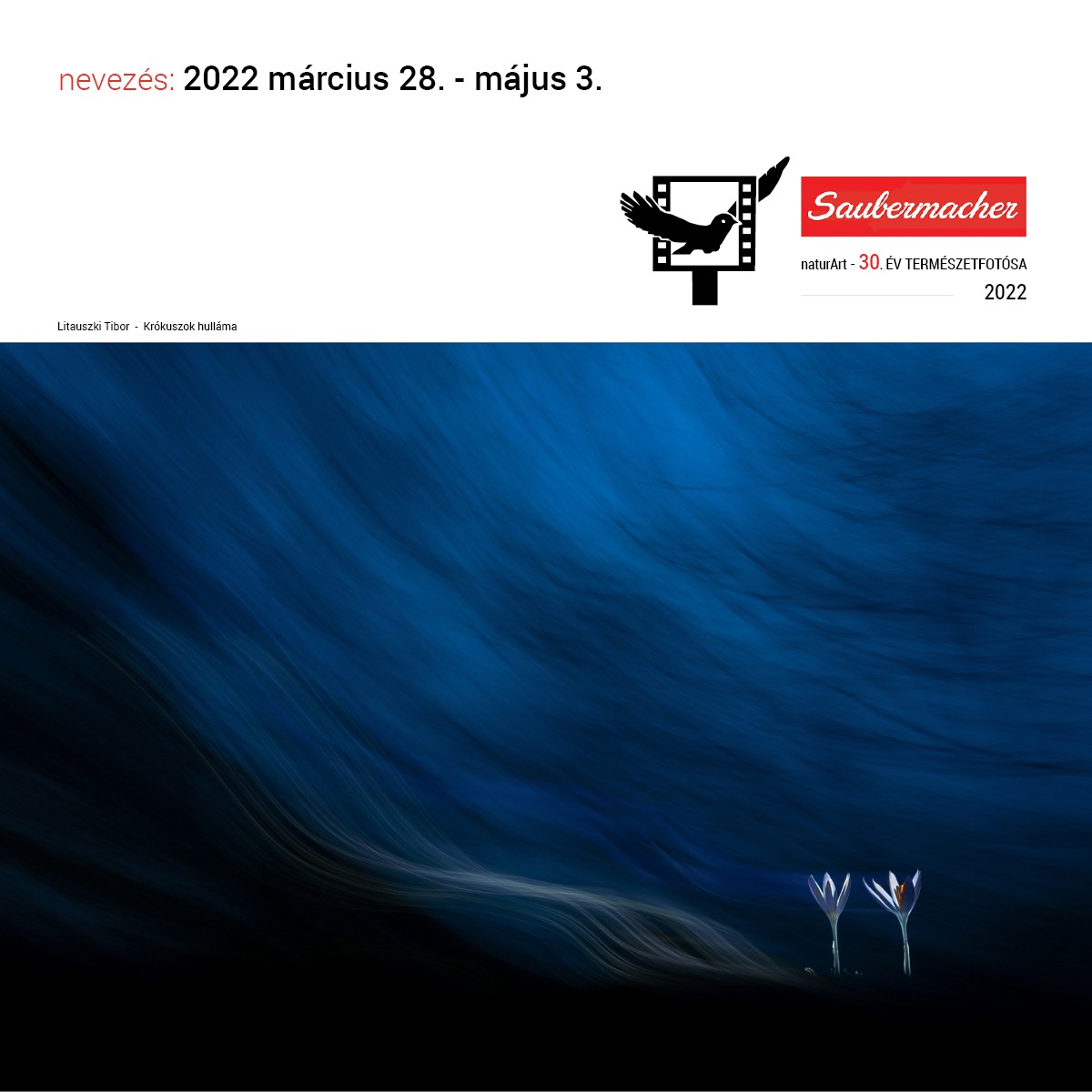 ÉTF2022 - ünnepélyes eredményhirdetés és a kiállítás megnyitója