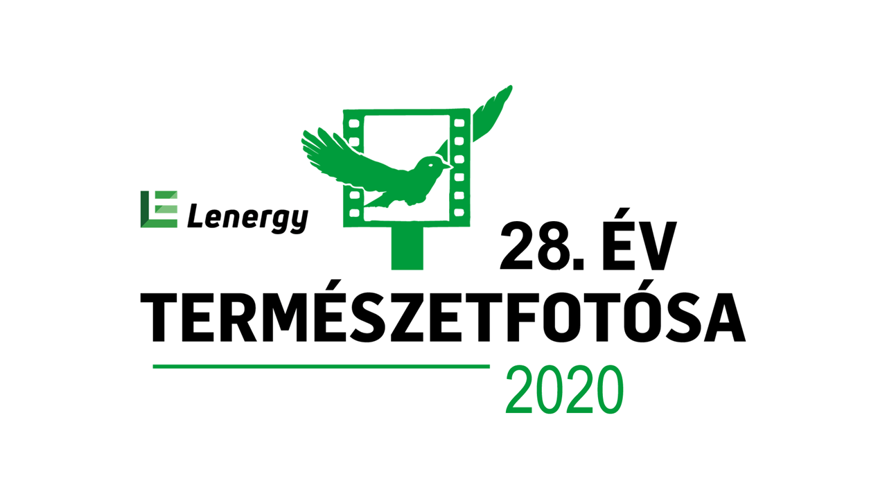 Nézd velünk online! Díjkiosztó és megnyitó: Lenergy - Az Év Természetfotósa 2020