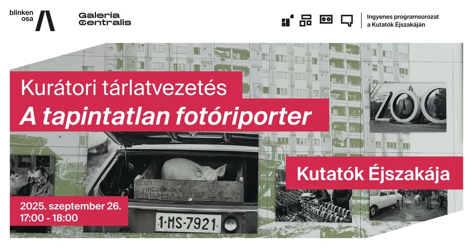 Kutatók éjszakája - Kurátori tárlatvezetés