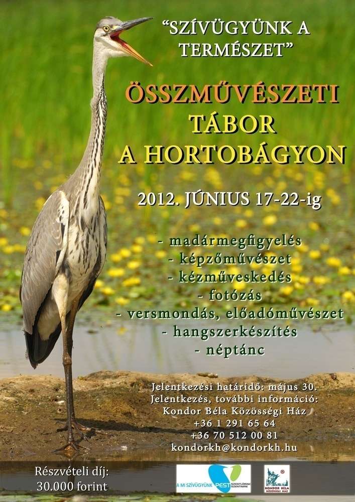 Hortobágyi összművészeti tábor - fotózás