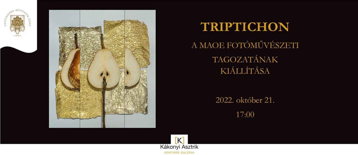 TRIPTICHON - A MAOE FOTÓMŰVÉSZETI TAGOZATÁNAK KIÁLLÍTÁSA - Megnyitó