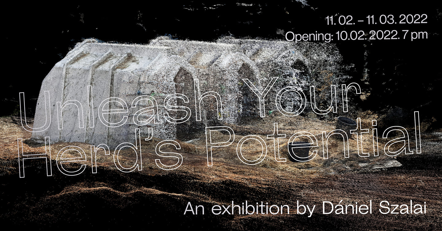 Megnyitó | Opening: Szalai Dániel: Unleash Your Herd's Potential