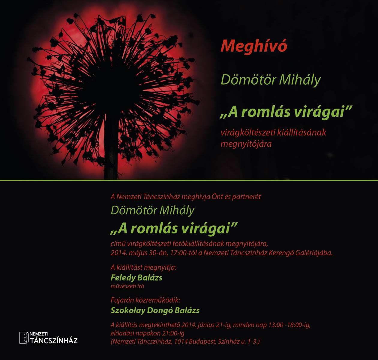 Dömötör Mihály: Romlás virágai