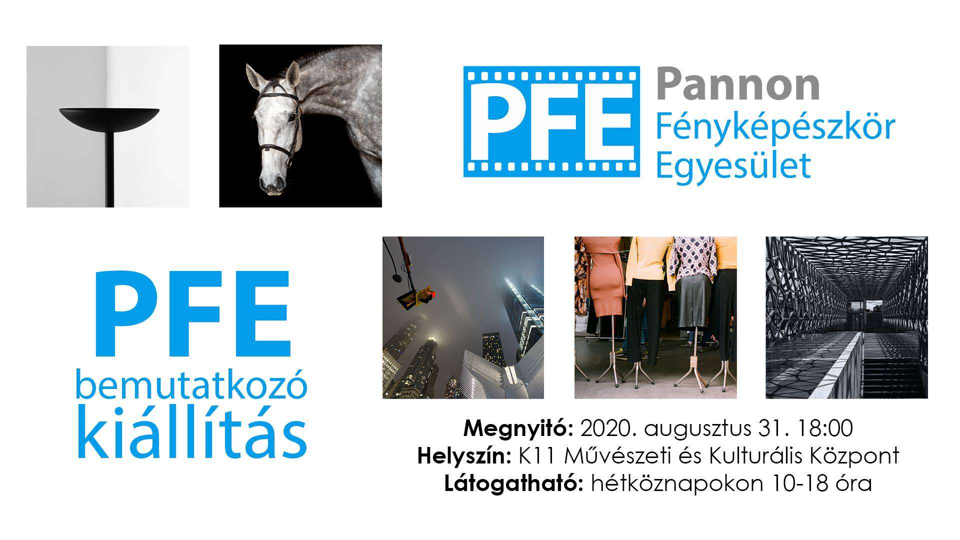 PFE bemutatkozó kiállítás