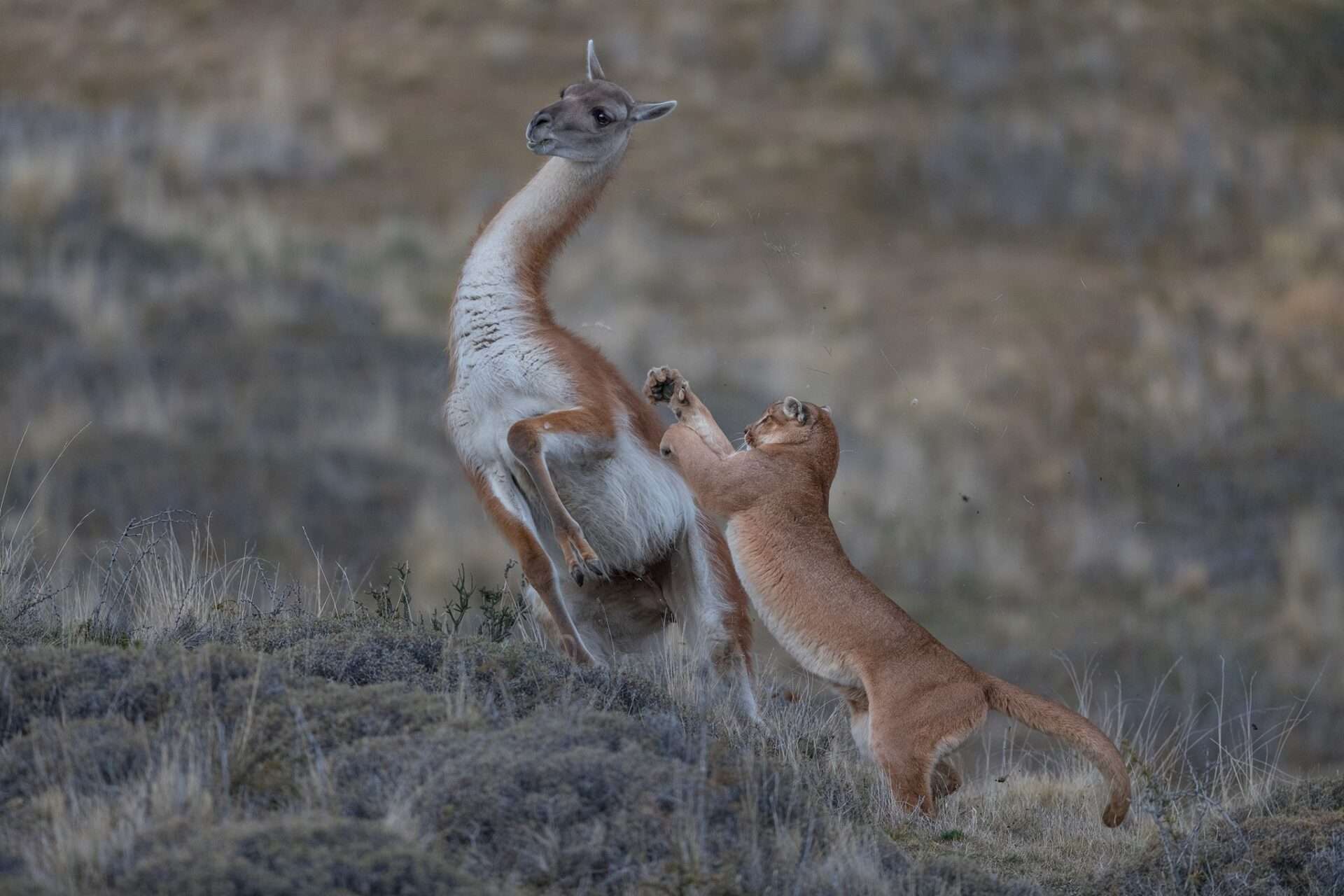 10/11 Tárlatvezetés a World Press Photo Kiállításban