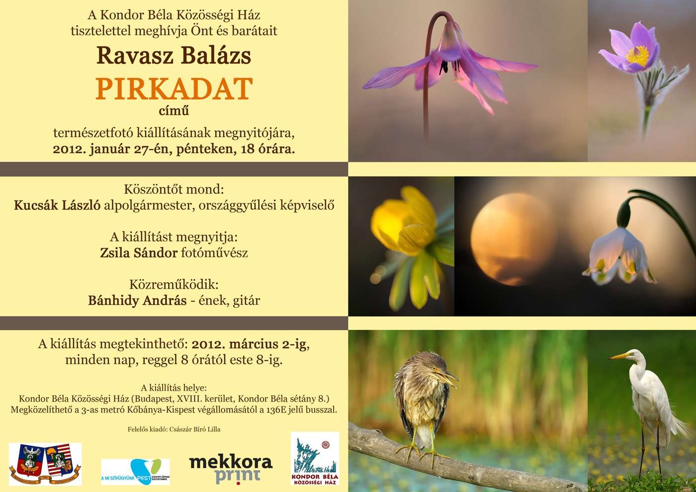 Ravasz Balázs - Pirkadat