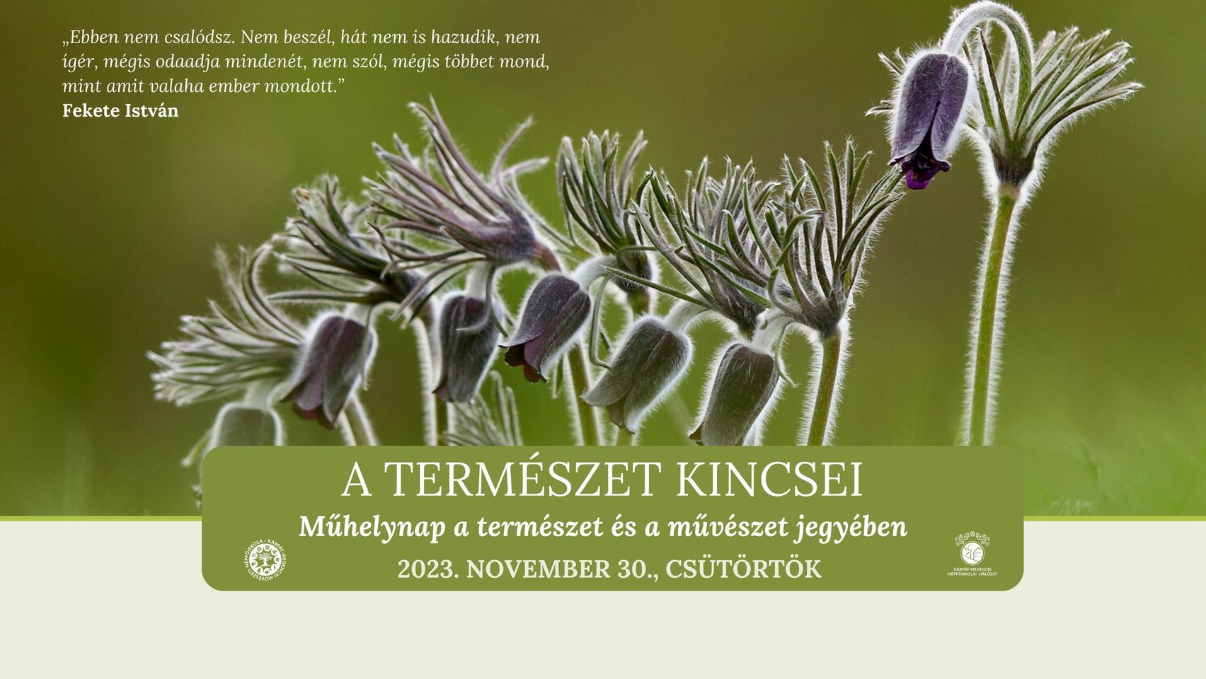A TERMÉSZET KINCSEI - Műhelynap a természet és a művészet jegyében