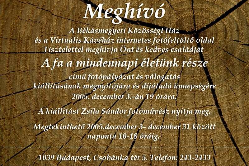 A fa a mindennapi életünk része - fotókiállítás