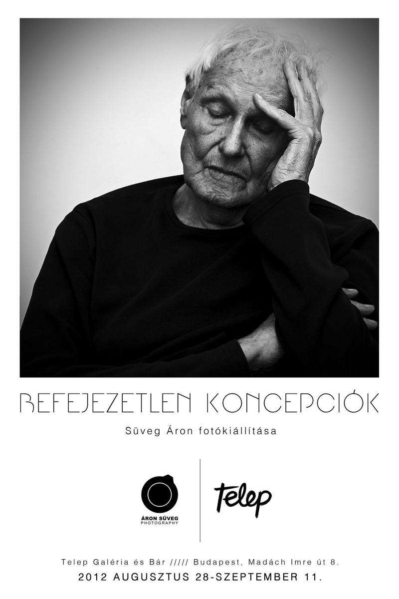 Süveg Áron: Befejezetlen koncepciók