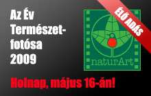 naturArt - Az év természetfotósa 2009 fotópályázat zsűrizése és online közvetítése