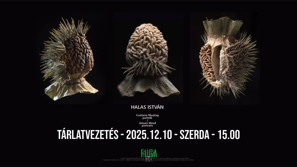 csattanó maszlag / HALAS István tárlatvezetése