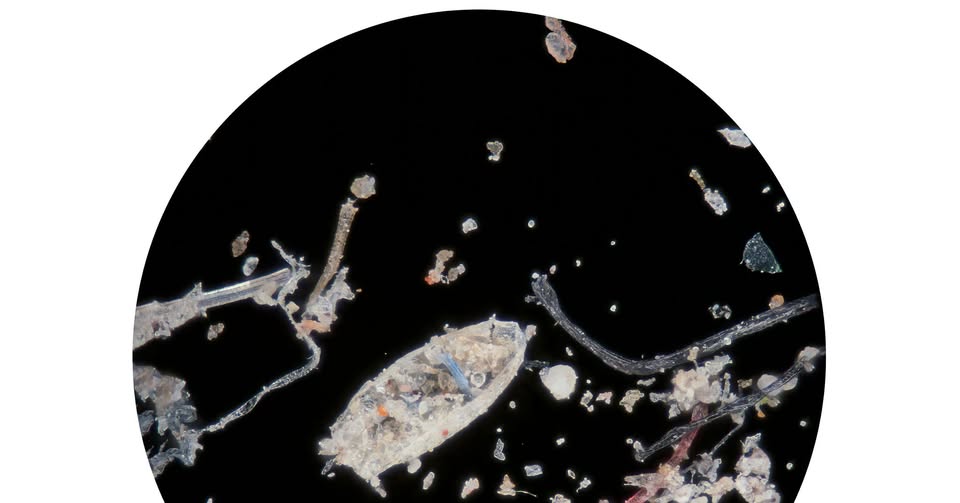 TÁRLATVEZETÉS ⏐ Pecsics Mária: Elképzelt Univerzum