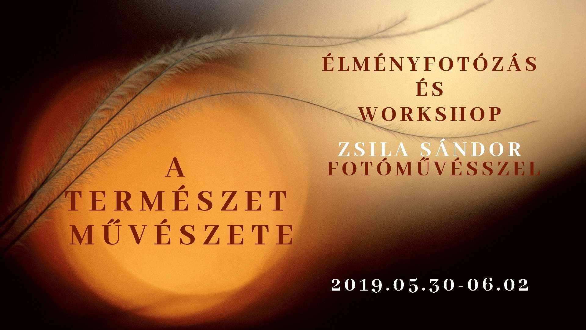 Workshop természetfotót szerető amatőrök számára