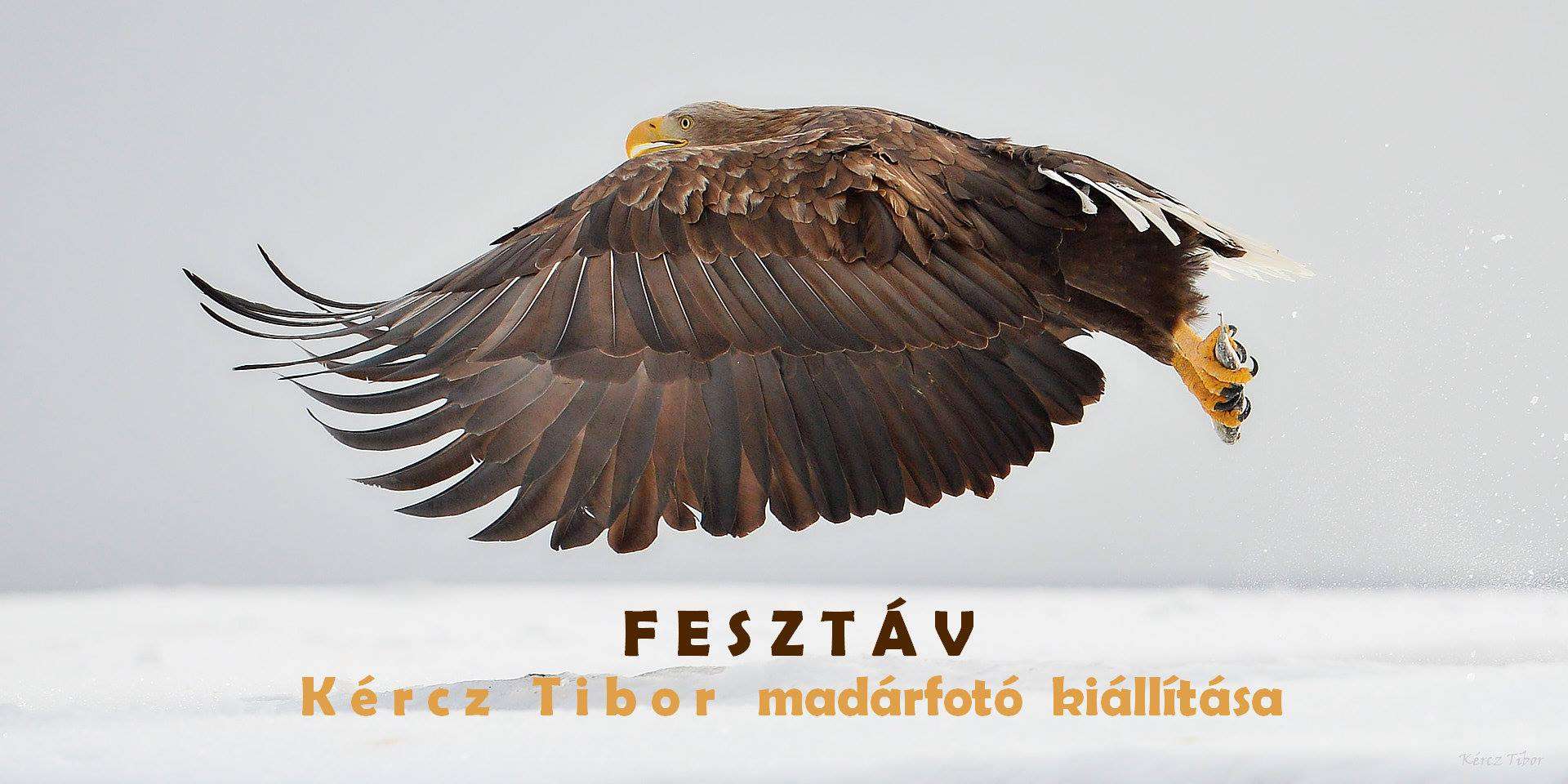 Fesztáv - Kércz Tibor természetfotós kiállítása