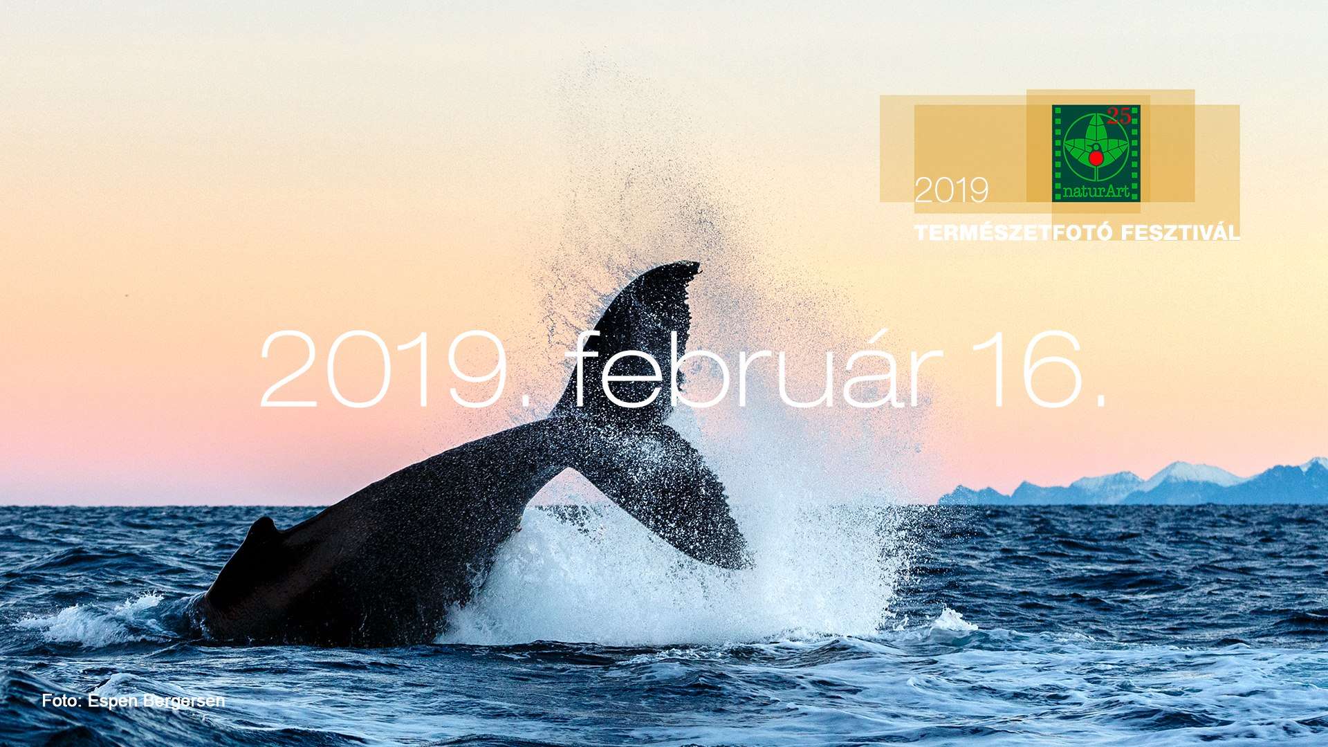 naturArt - Természetfotós Fesztivál 2019