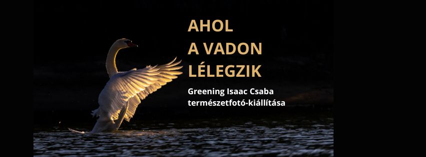 AHOL A VADON LÉLEGZIK - Greening Isaac Csaba természetfotó-kiállítása - Megnyitó