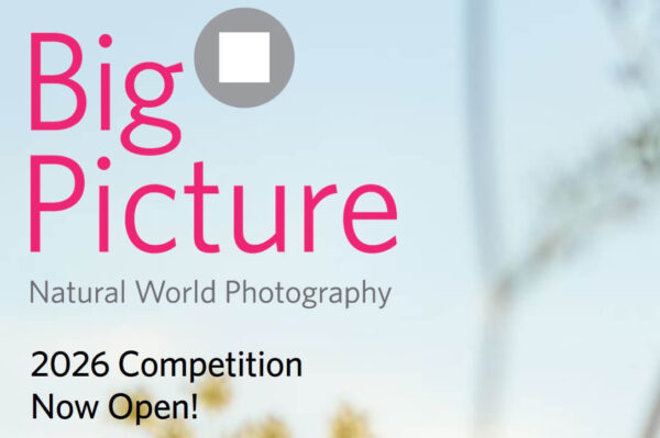 Big Picture - 2026