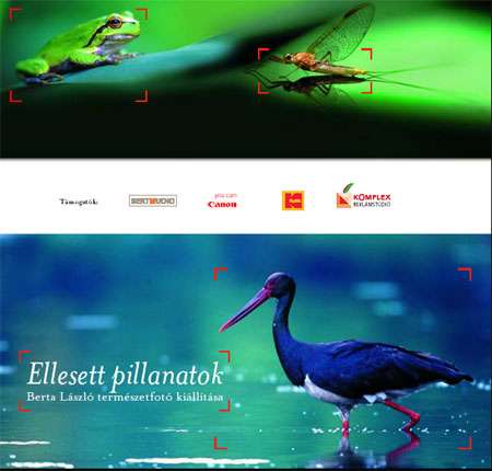 Berta László: Ellesett pillanatok