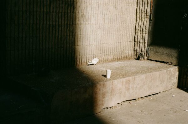 Shadows - Photography Contest