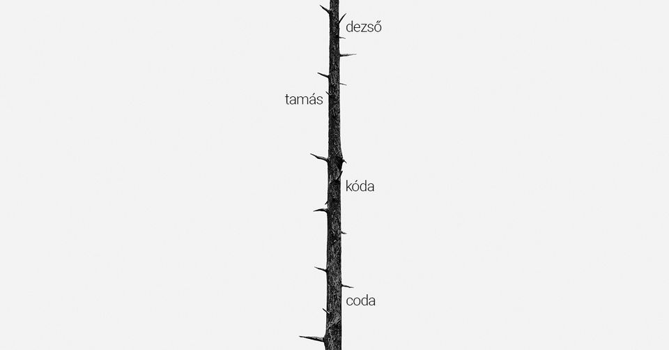 Dezső Tamás: Kóda // Dezső Tamás és Cséka György kurátor tárlatvezetése