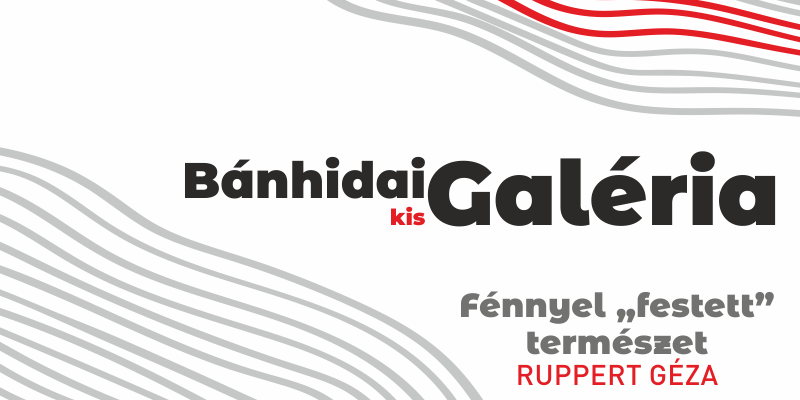 Fénnyel “Festett" Természet - Ruppert Géza természetfotós képei
