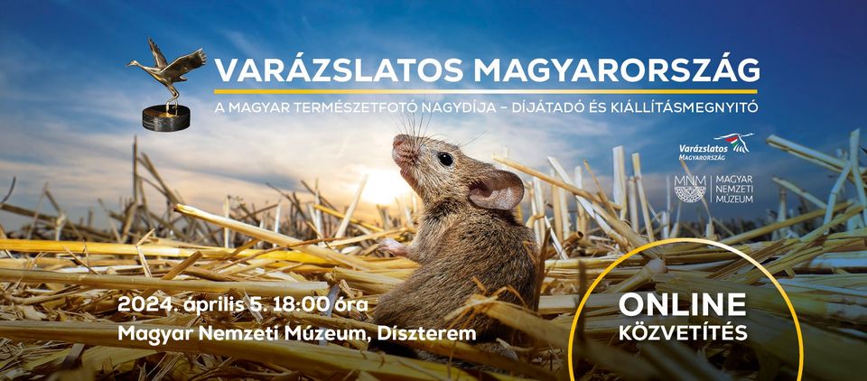 A magyar természetfotó nagydíja – díjátadó és kiállításmegnyitó online közvetítés