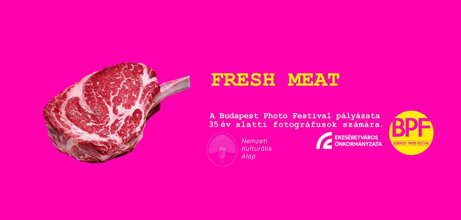 FRESH MEAT // a Budapest FotóFesztivál kiállítása 35 év alatti fotográfusok munkáiból - megnyitó