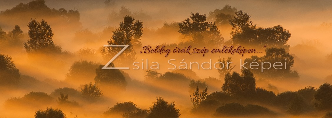 Zsila Sándor: Boldog órák szép emlékeképen. Kiállítás megnyitó.