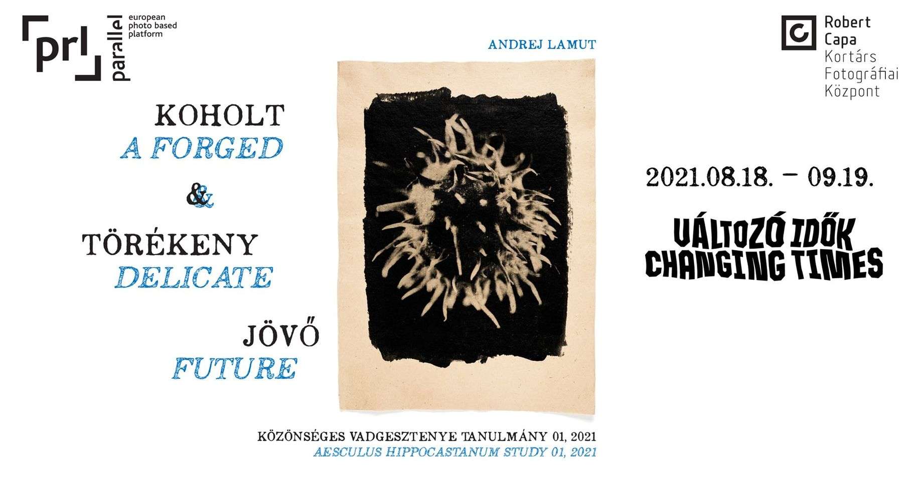 A Forged and Delicate Future | PARALLEL | Vernissage