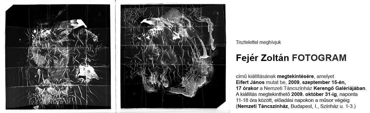 Fejér Zoltán: Fotogram