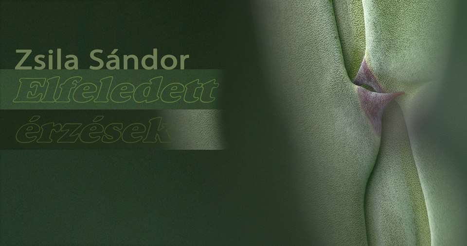 Zsila Sándor: Elfeledett érzések?