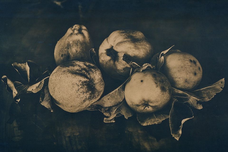 Cyanotype labor gyakorlat 2024. február 16.