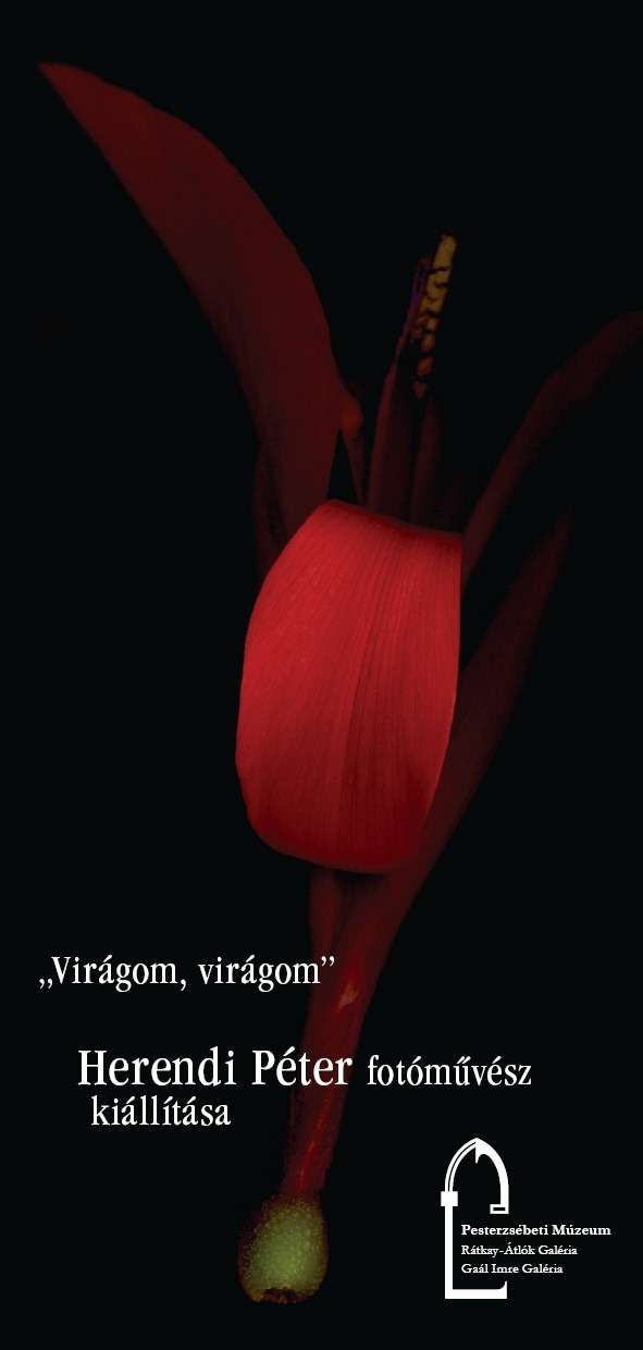 Virágom, virágom - Herendi Péter fotóművész kiállítása