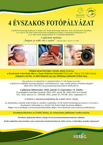 4 évszakos fotópályázat / TAVASZ