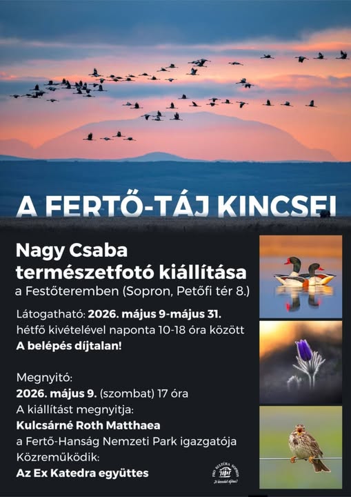 A Fertő-táj kincsei fotókiállítás megnyitója