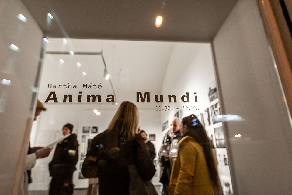 ANIMA MUNDI - Bartha Máté és Mucsi Emese tárlatvezetése