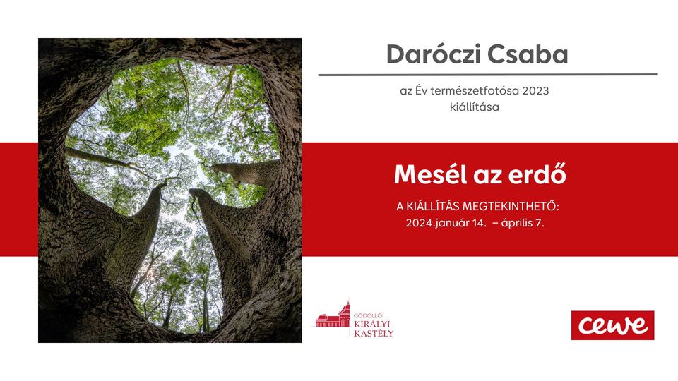 Mesél az erdő – Daróczi Csaba, az Év természetfotósa 2023 kiállítása