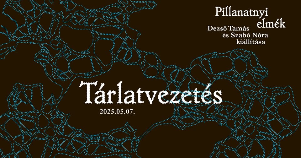 Tárlatvezetés | Pillanatnyi elmék