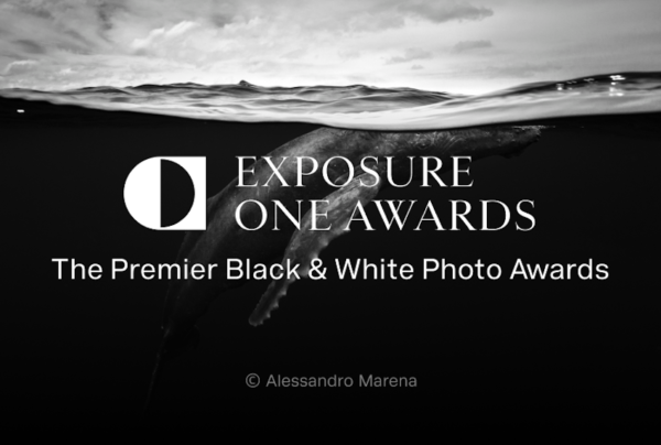 2026 One Shot Photo Contest